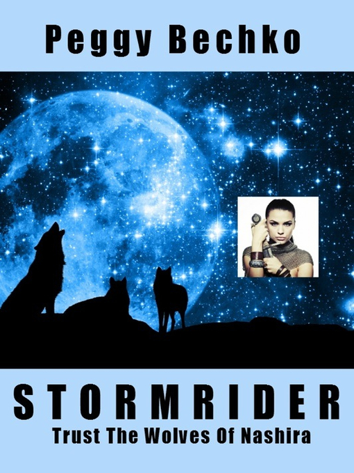 Cover image for Stormrider
